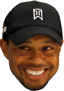 :tiger: