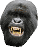:ape: